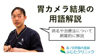 胃カメラ後の解説 　胃カメラ後に聞いた説明をさらに詳しく解説します。