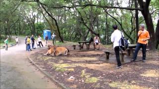 2014 6 18 漫遊城門水塘