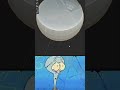 Blender Beginner VS👊 Professional #blender #3danimation #blender3d #blendertutorial #3d