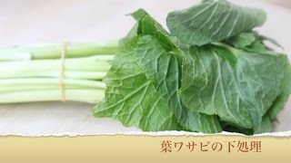 花ワサビ下処理