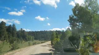 Kaibab N Forest Road 22, South of Fredonia, Arizona