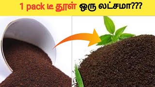 அடேங்கப்பா- ஒரே ஒரு பேக் டீ தூள் ஒரு லட்சமா😱_Tamil facts_Tamil bells