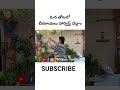 ఈ పంట లో ఇవే ఆఖరి కాయలు gardeningvideos organicprabha