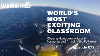 World's Most Exciting Classrooms Episode 072: Chasing Humpback Whales and Arrival in the Falklands