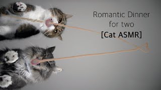 Romantic Dinner for two | funny Cat ASMR