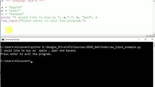 raw input() to pause the program on cmd