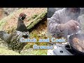 Caza y Cocina de la GALLINA De las altas Montañas (Dusky Grouse Hunt)