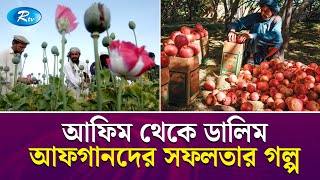 আফগানিস্তানের পানীয় নিয়ে বিশ্বজুড়ে তোলপাড়, কিনছে যুক্তরাষ্ট্রও | Afghanistan | Rtv Exclusive