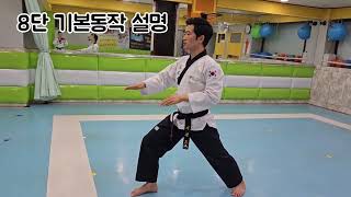 국기원 8단 기본동작&한수품새#tutorial 8th Dan Basic Movements Sequence and Hansoo Poomsae