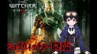 【#TheWitcher3】初見プレイ 年末年始でクリアを目指したが終わりませんでした 8日目 Twitch同時配信【星空ナツ/Vtuber】