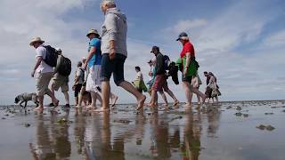 Sicher Wandern im Weltnaturerbe Wattenmeer