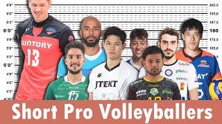 7 Short Pro Volleyball Players That Are Still Beasts