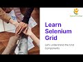 Components of Selenium Grid  Selenium 4