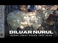 CALF PRICES AFTER EID AL-ADHA 2026