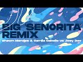 Shawn Mendes, Camila Cabello - Señorita (Joey Doc remix)