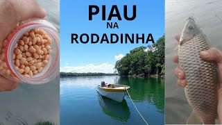 HOW TO FISH PIAU ON THE RODADINHA... INFALLIBLE ROOT FISHING!!!!!