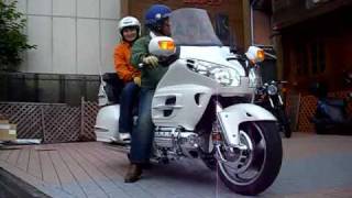 美人タンデム　HONDA GL1800 Goldwing 1800　ゴールドウイング　GOLDWING