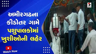 Amirgadh News | અમીરગઢના કીડોતર ગામે પશુપાલકોમાં ખુશીઓની લહેર |  Happiness Among The Herdsmen