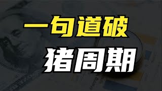 十分钟搞懂猪肉价格周期，股民和养殖户的赚钱神器