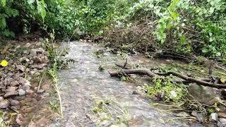 Yellandu forest edubavulu waterfall