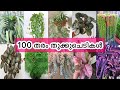 2022 ലെ 100 തരം തൂക്കുചെടികൾ പരിചയപ്പെട്ടാലോ||Hanging plants||Ewaas world