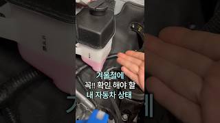 겨울철에 !! 확인 해야 할 내자동차상태#자동차 #부동액