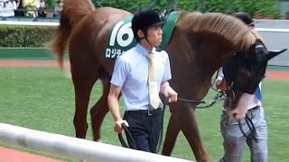 【ロジチャリス】パドック｜第64回ラジオNIKKEI賞（GⅢ）｜福島競馬場