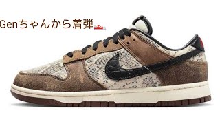 ✨Nike Dunk Low PRM \