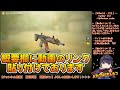 【codモバイル】レジェンド販売で人気再燃必至！［type19］おすすめカスタムでランクマmvp取ってみた！