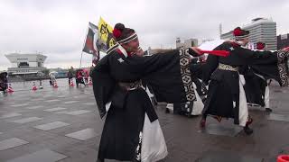 ＲＥＤＡ舞神楽・象の鼻パーク－横浜よさこい２０１７