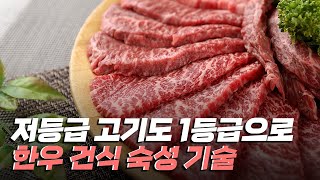 [핫클립] 저등급도 1등급 맛을 내는 한우 건식 숙성 기술 / YTN 사이언스