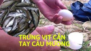 Câu cá mương bằng mồi bột trứng vịt vs gà có j khác nhau. Người hà giang 23