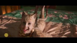 Macskák - magyar nyelvű videó