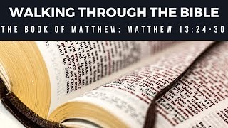 What Is a Tare? [Matthew 13:24-30]  [Lesson 66] [Walking Through the Bible]