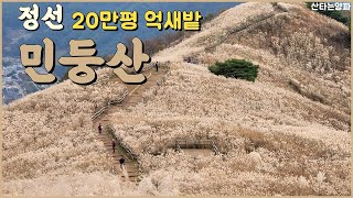 민둥산 억새밭 20만평 규모만큼이나 행복했던 등산