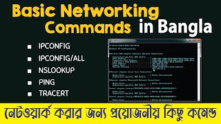 Basic Networking Commands | WOW !