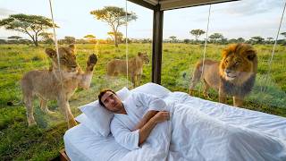 I Stayed in Wild Hotels