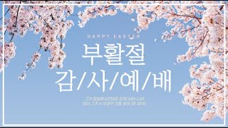 일로제일교회 2023.4.09 주일 오전 예배 (부활절)