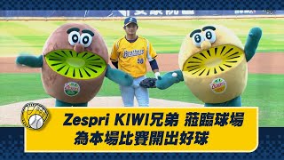 【2023爪嗨賴】06/22 Zespri KIWI兄弟來到洲際棒球場，為本場比賽開出好球。CTBC Brothers 中信兄弟