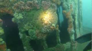 Diving the Ruby E off San Diego 3-17-13