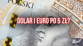 Dolar, euro, frank - wszystko po 5 złotych?