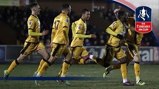 Best Goals - 3rd Round Emirates FA Cup 2016/17 | Top Five