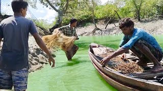 বড়শির টপ খুঁজতে গিয়ে ভেটকি মাছ পেলাম!!!