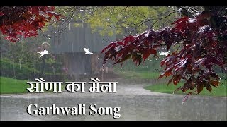 सौणा का मैना ll Garhwali Song