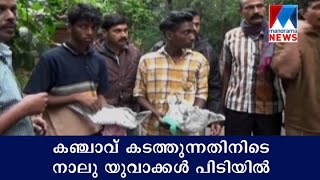 Four youths held for peddling ganja | Manorama News
