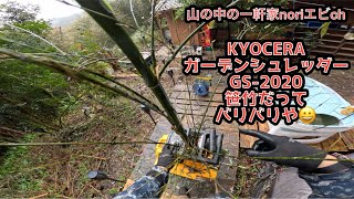 [山の中の一軒家] KYOCERAガーデンシュレッダーGS-2020 笹竹だってバリバリや😀　令和6年2月21日(水)