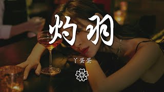 丫蛋蛋 - 灼羽『飛鳥在泥淖中尋魚的蹤跡』【動態歌詞Lyrics】