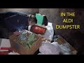 JUST IN TIME FOR THANKSGIVING! DUMPSTER DIVING AT ALDI ***