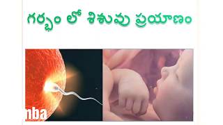 తల్లి గర్భం లో మన ప్రయాణం | Journey from the womb