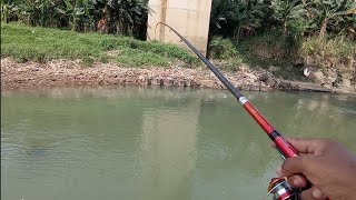 NO HOAX ‼️ BARU KALI INI MANCING PAKE PUTASO DAPAT MAMAH BERKUMIS ‼️